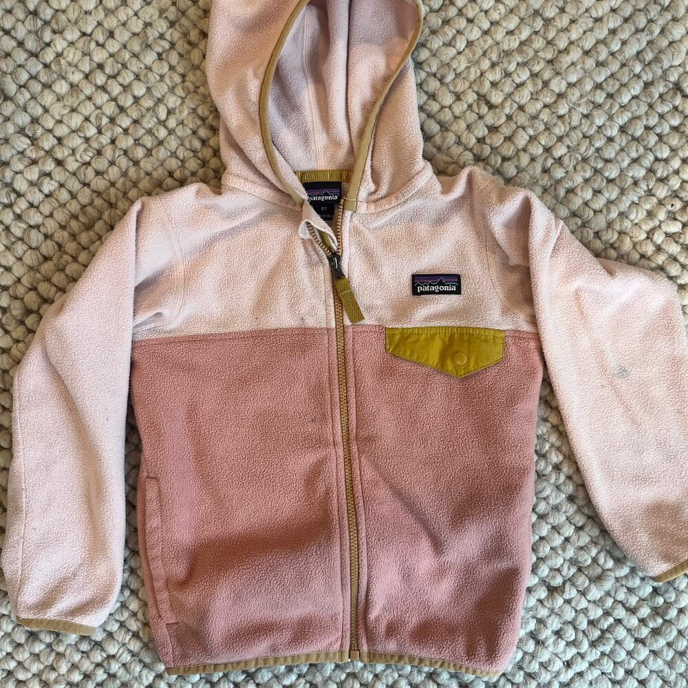 Patagonia 4T Micro D Snap-T Fleece Jacket